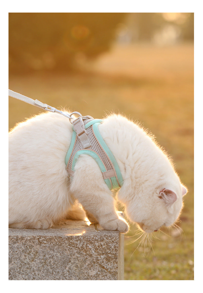 SafeStride Adventure Harness