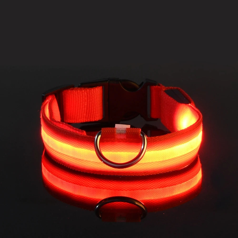 Super LED Collar