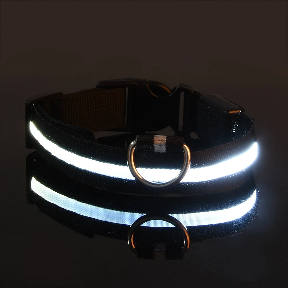 Super LED Collar