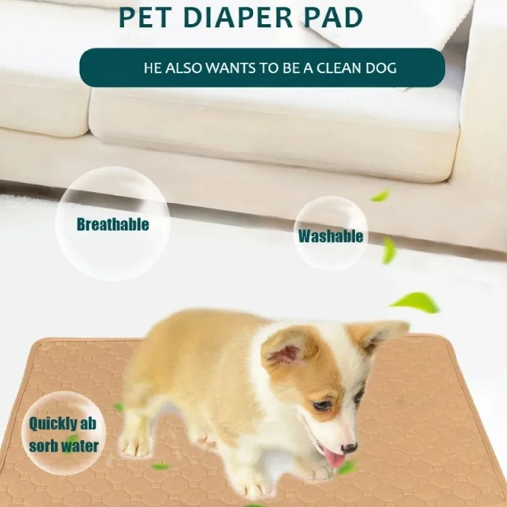 Clean Paws Training Mat