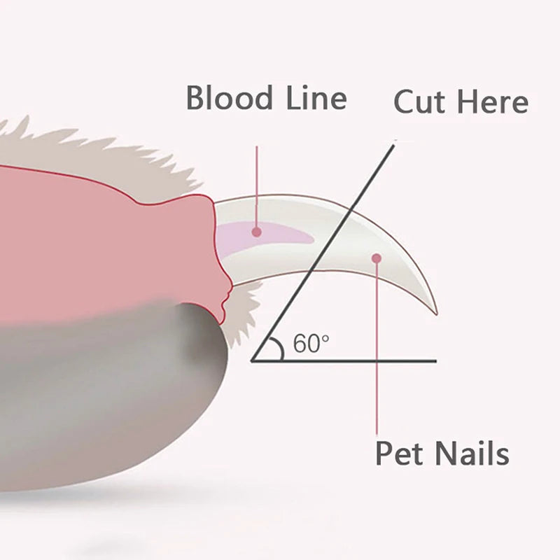 Precision Paw Trimmer