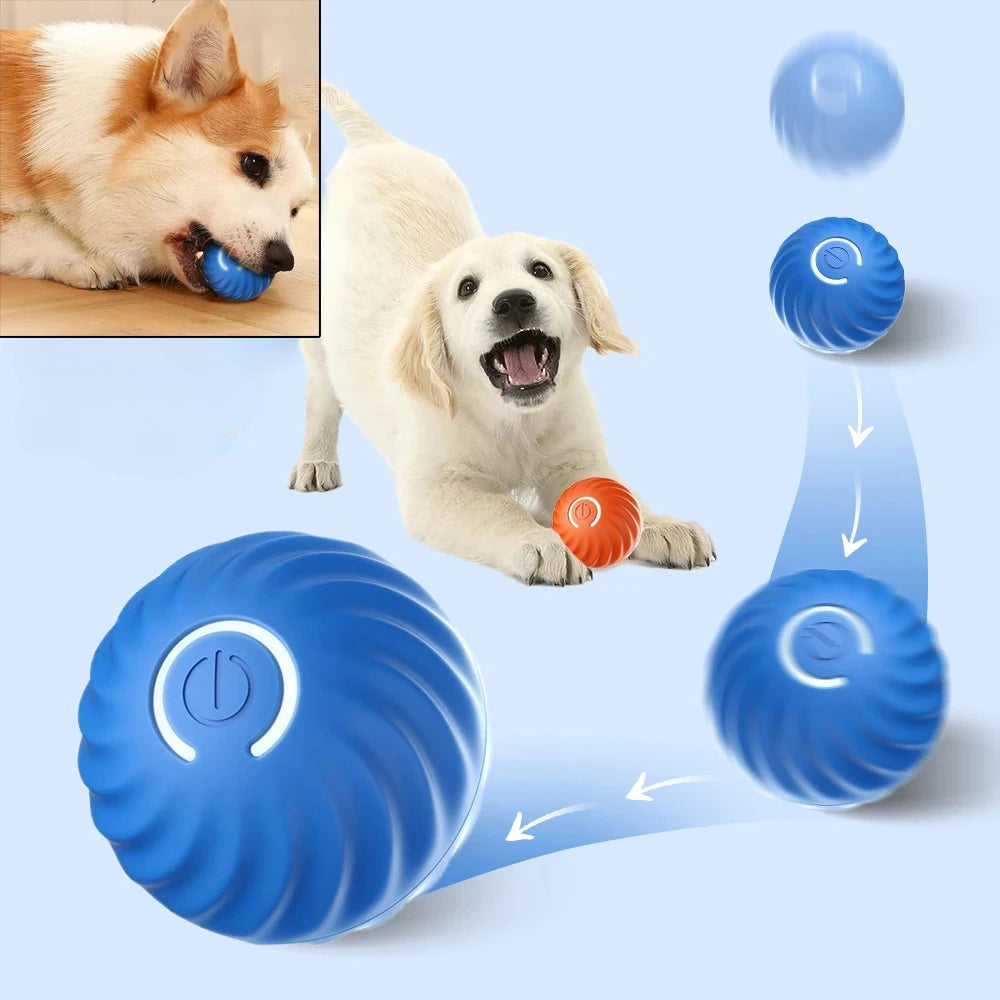 Zoomie Smart Ball