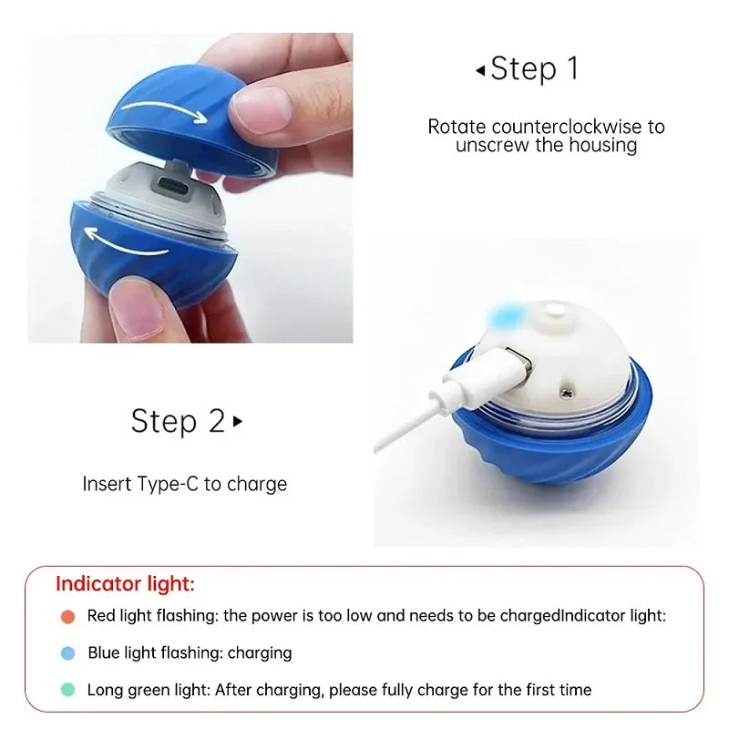 Zoomie Smart Ball