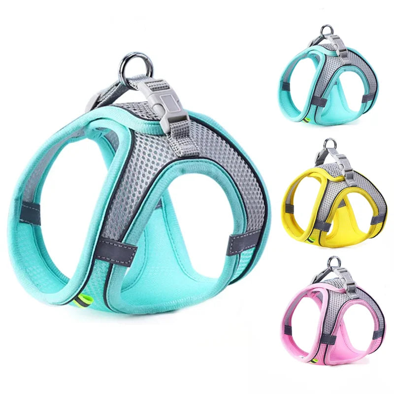 SafeStride Adventure Harness