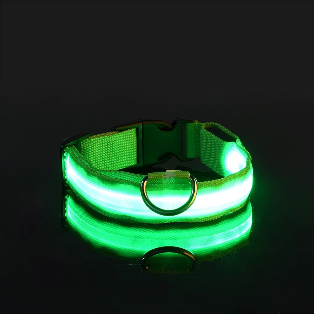 Super LED Collar