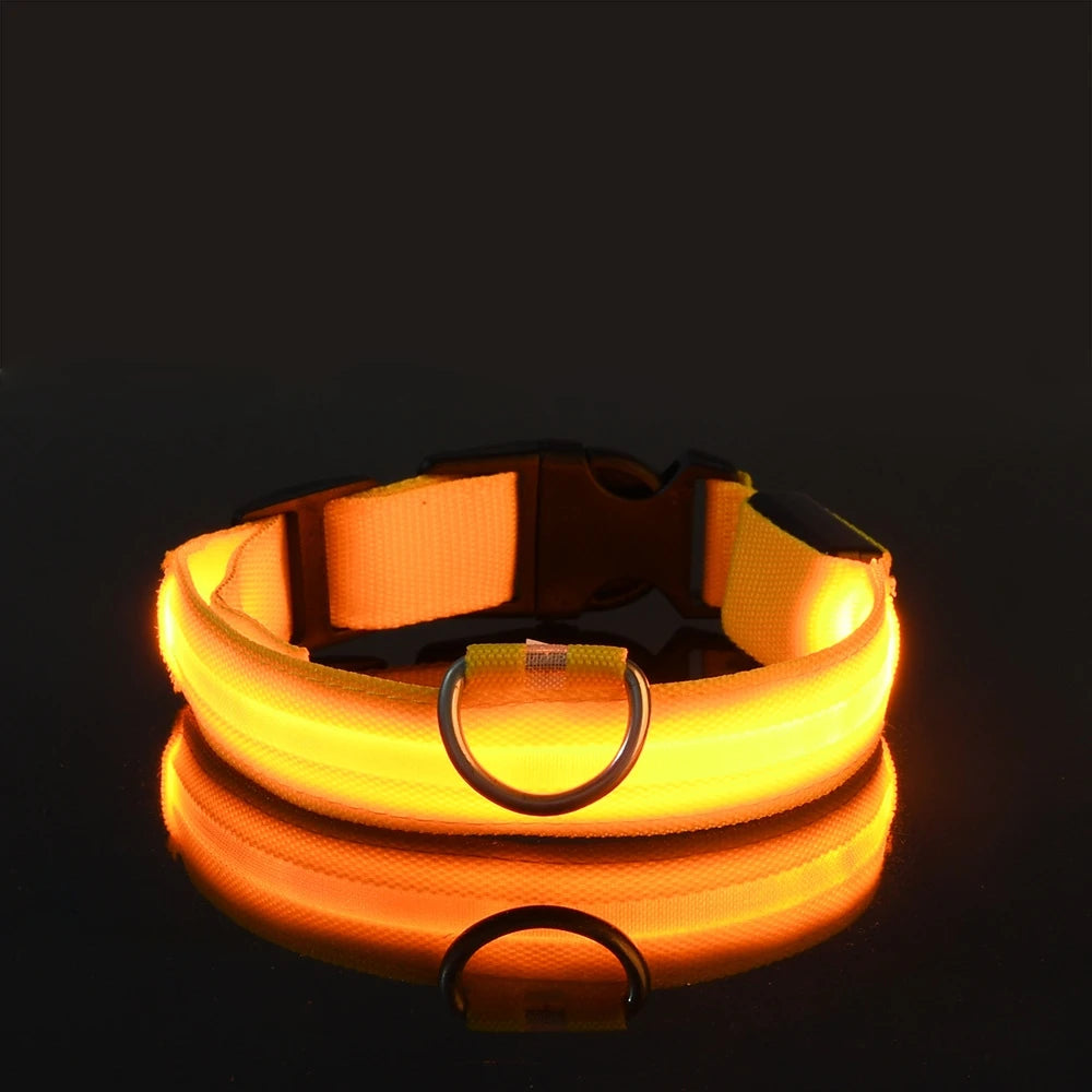 Super LED Collar