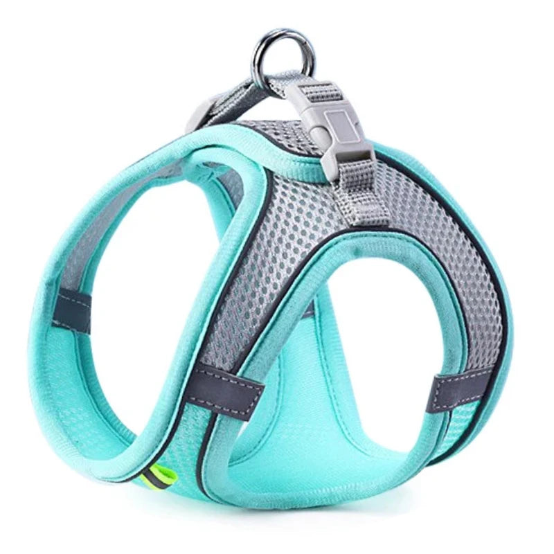 SafeStride Adventure Harness
