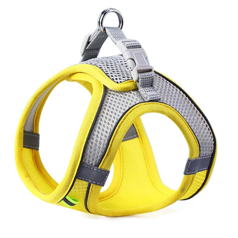 SafeStride Adventure Harness
