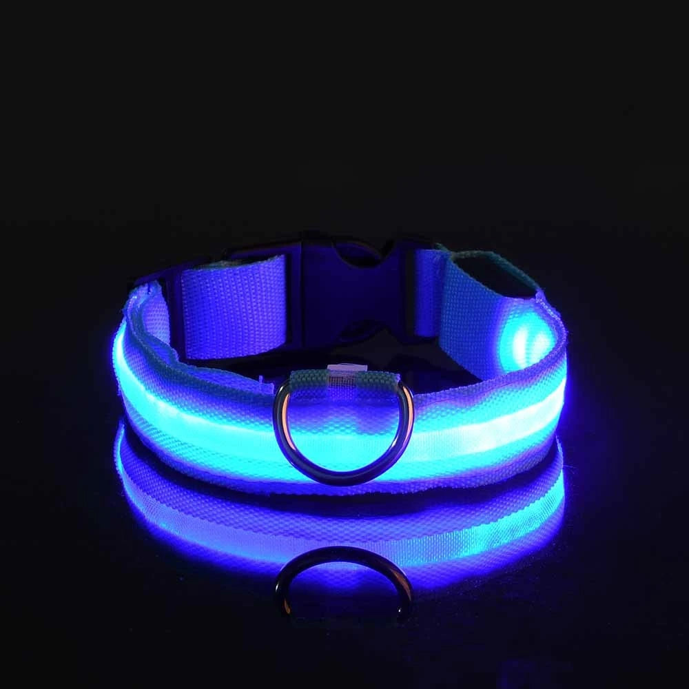 Super LED Collar