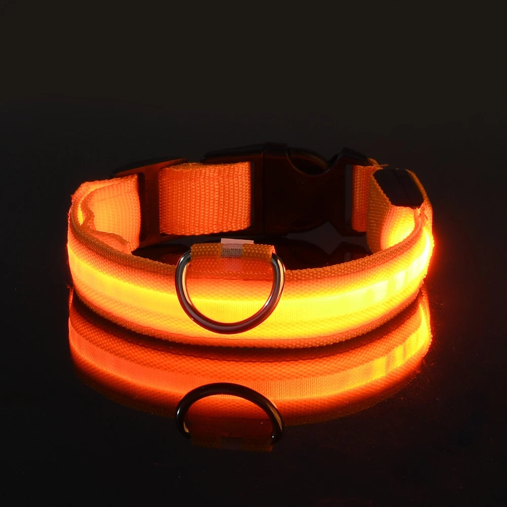 Super LED Collar