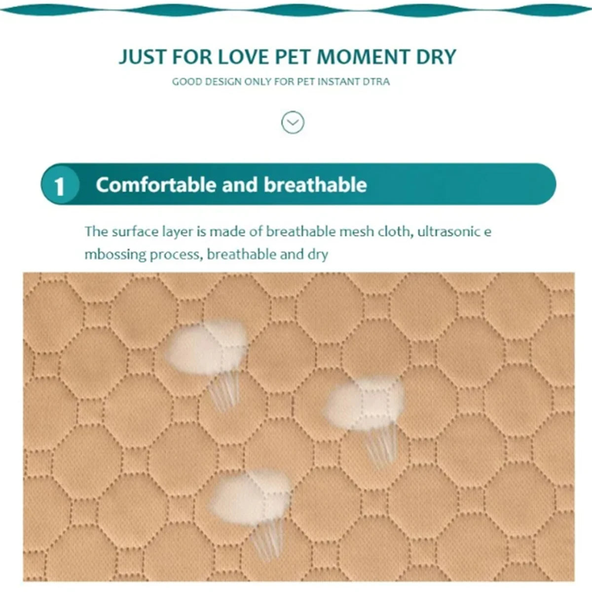 Clean Paws Training Mat