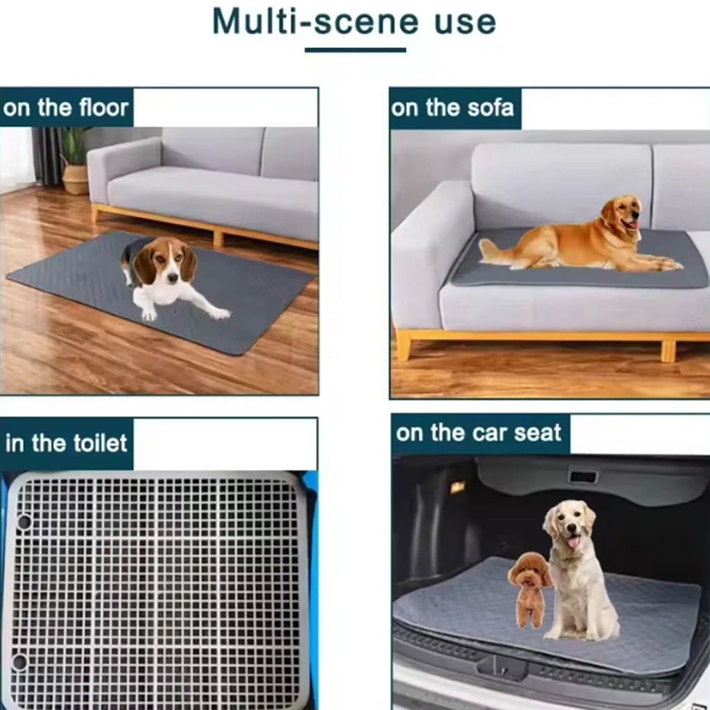 Clean Paws Training Mat