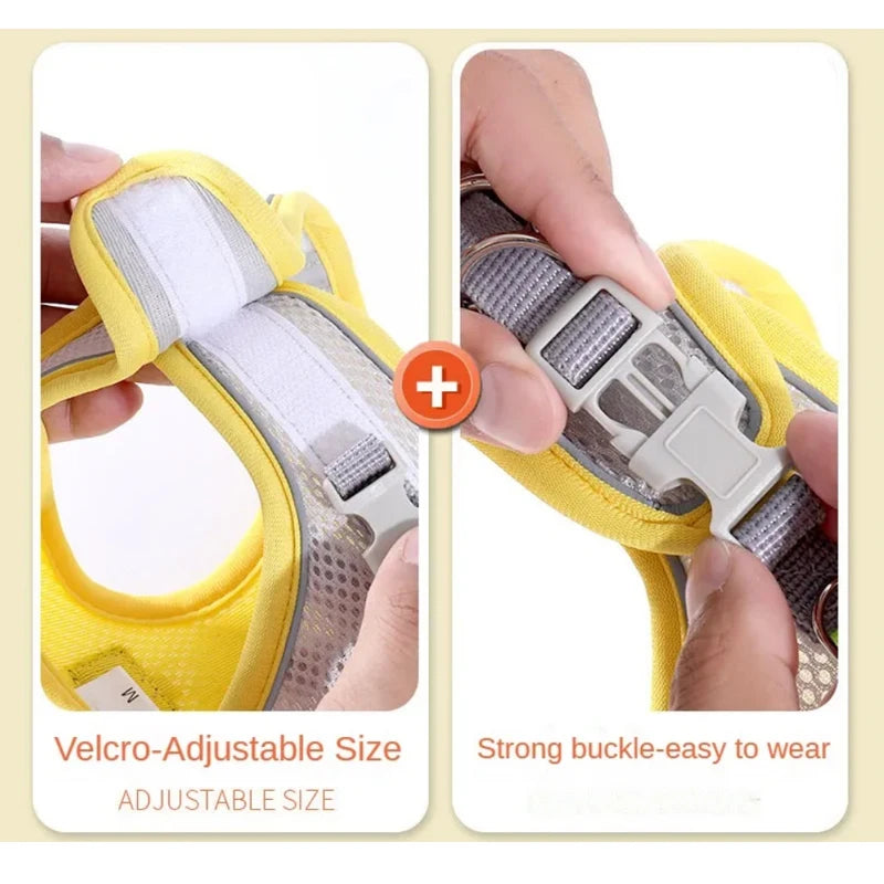 SafeStride Adventure Harness