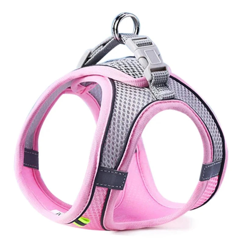 SafeStride Adventure Harness