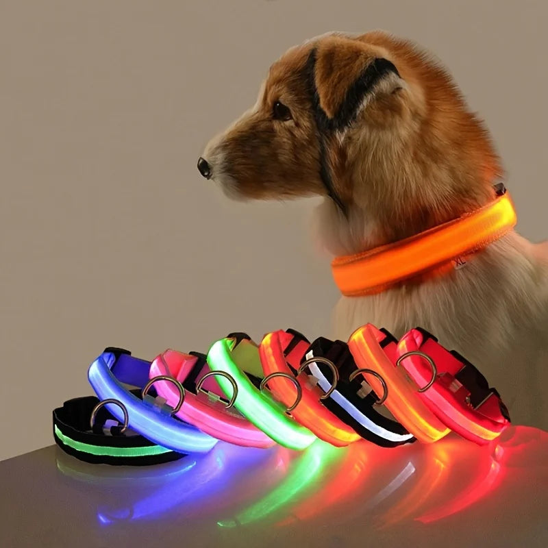 Super LED Collar
