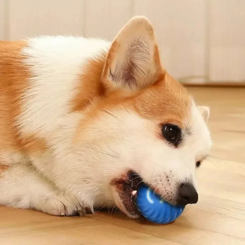 Zoomie Smart Ball