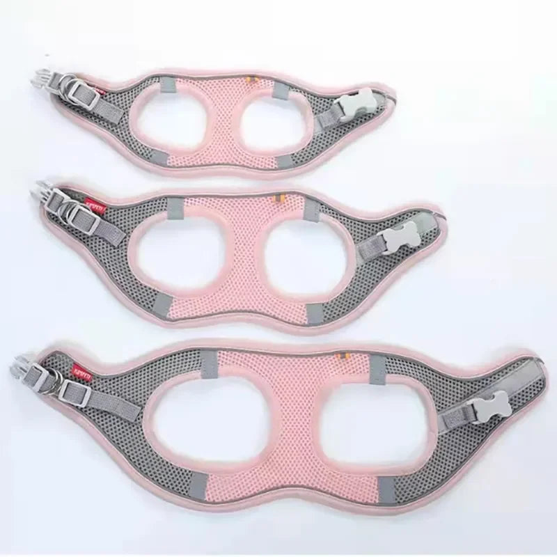 SafeStride Adventure Harness