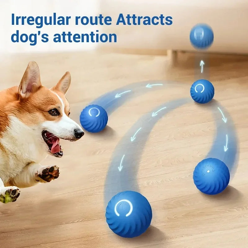 Zoomie Smart Ball