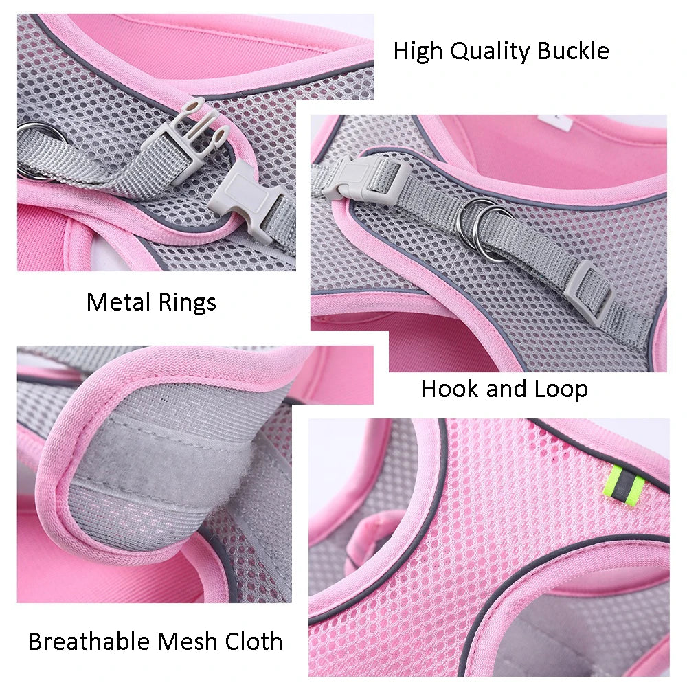 SafeStride Adventure Harness