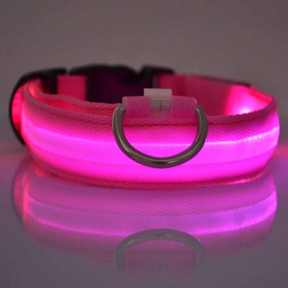 Super LED Collar