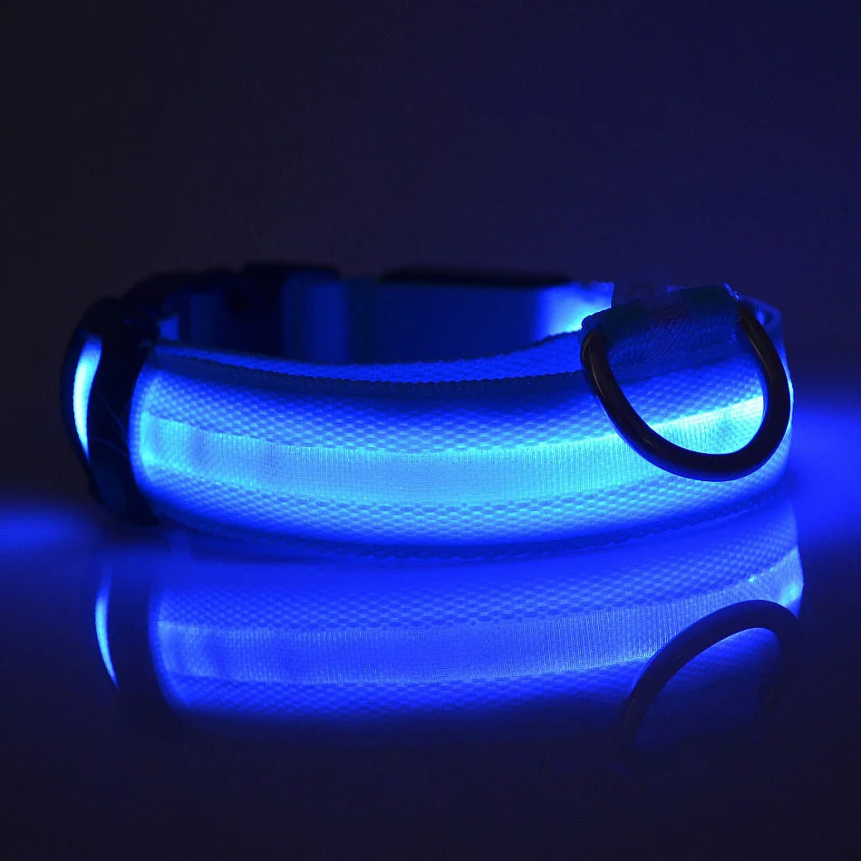 Super LED Collar