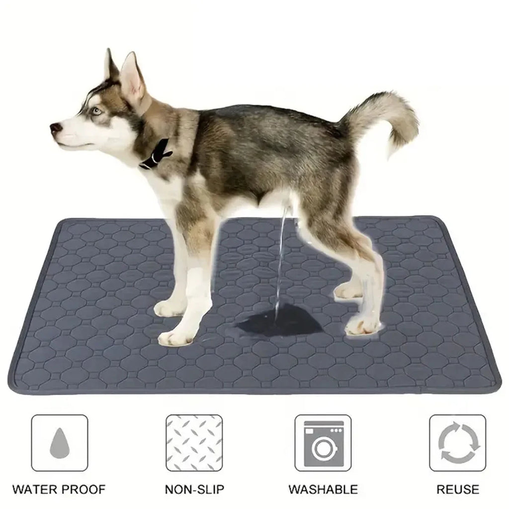 Clean Paws Training Mat