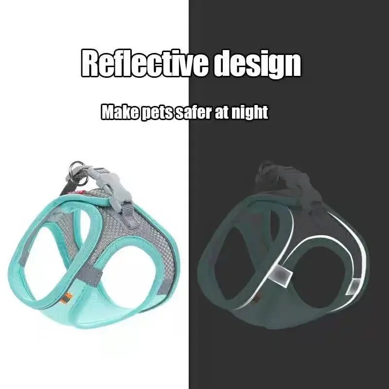 SafeStride Adventure Harness