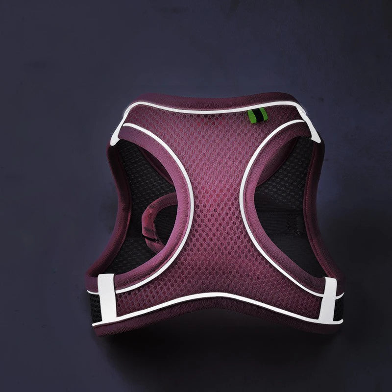 SafeStride Adventure Harness