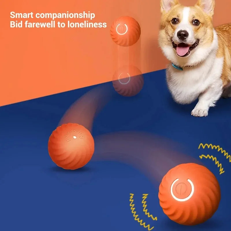 Zoomie Smart Ball