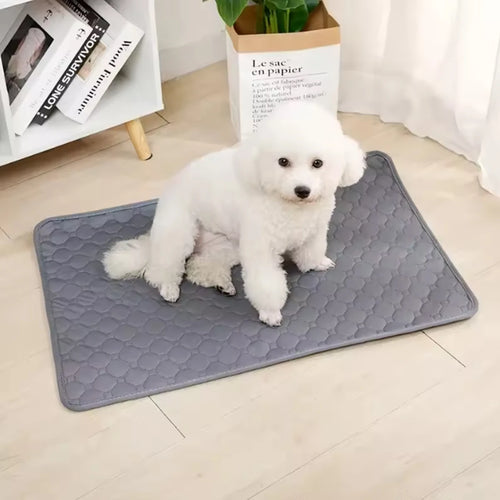 Clean Paws Training Mat