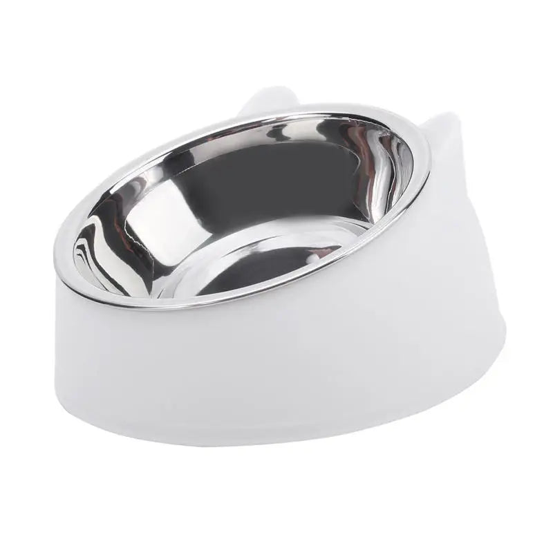 Tilted Feeder Bowl