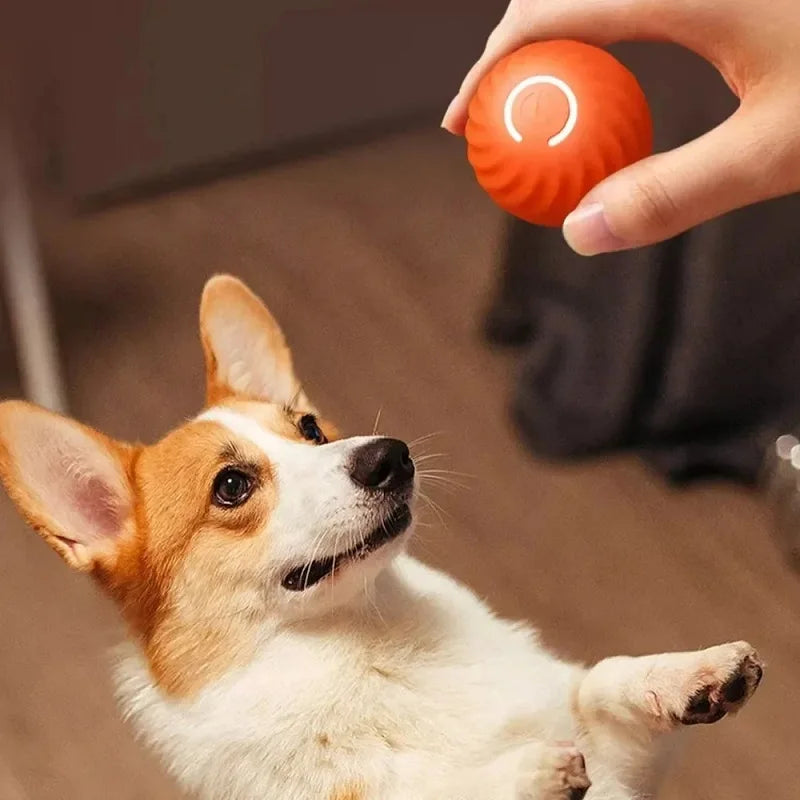 Zoomie Smart Ball