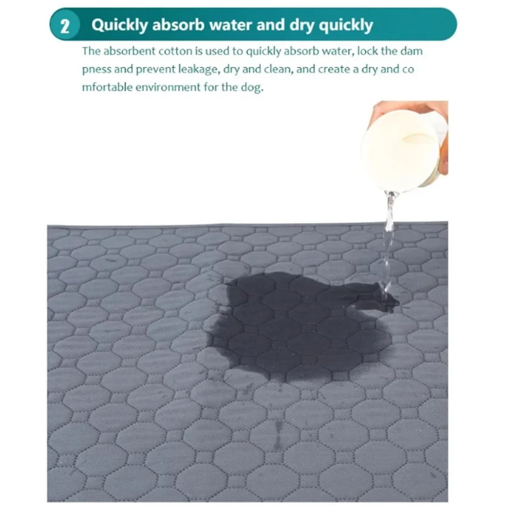 Clean Paws Training Mat