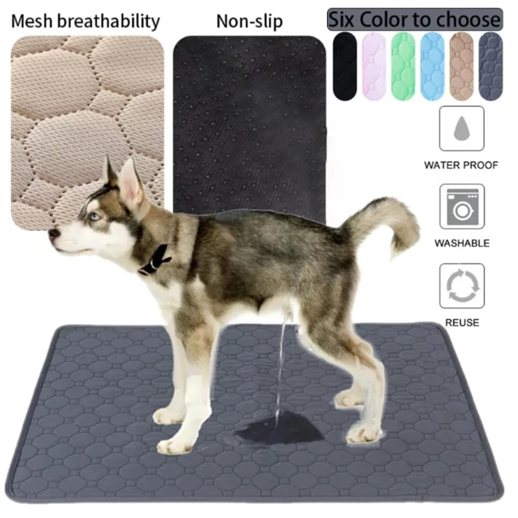 Clean Paws Training Mat