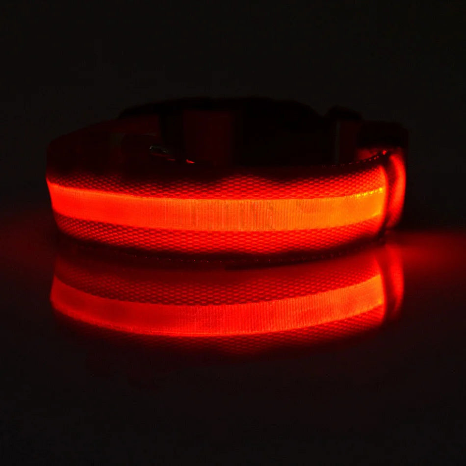 Super LED Collar