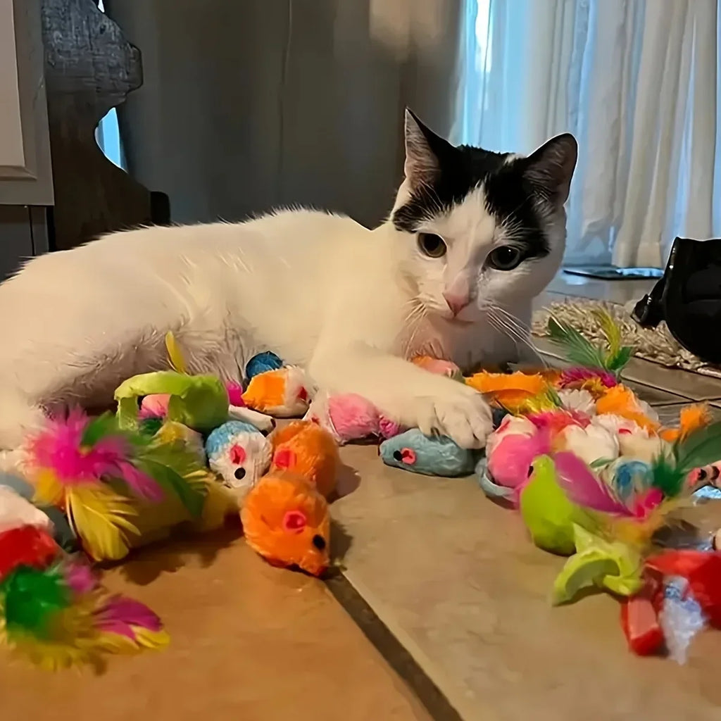Playtime Mega Pack