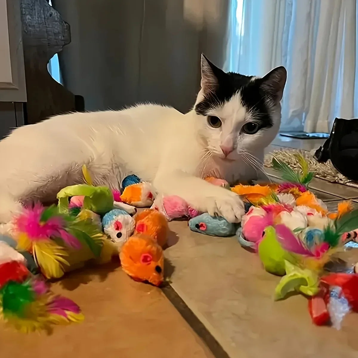 Playtime Mega Pack